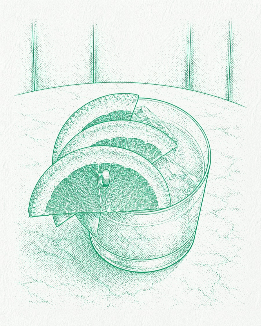 Sketch of the Puebla Fruit Cocktail